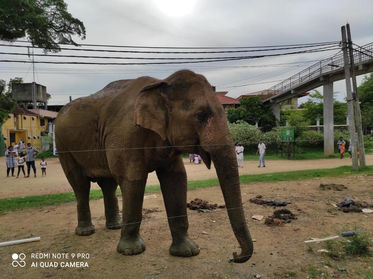 Geethani Tourist Home Polonnaruwa Exterior foto